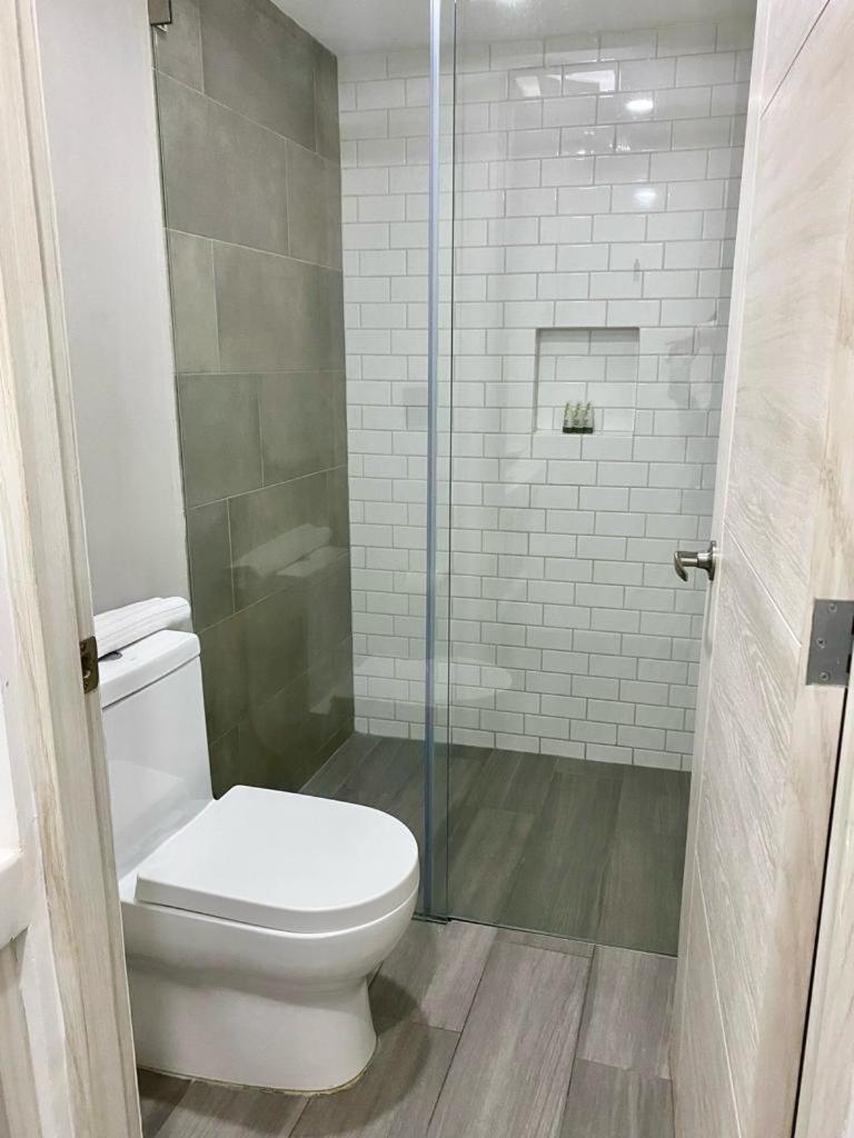 קרטרו The Andy Hotel מראה חיצוני תמונה